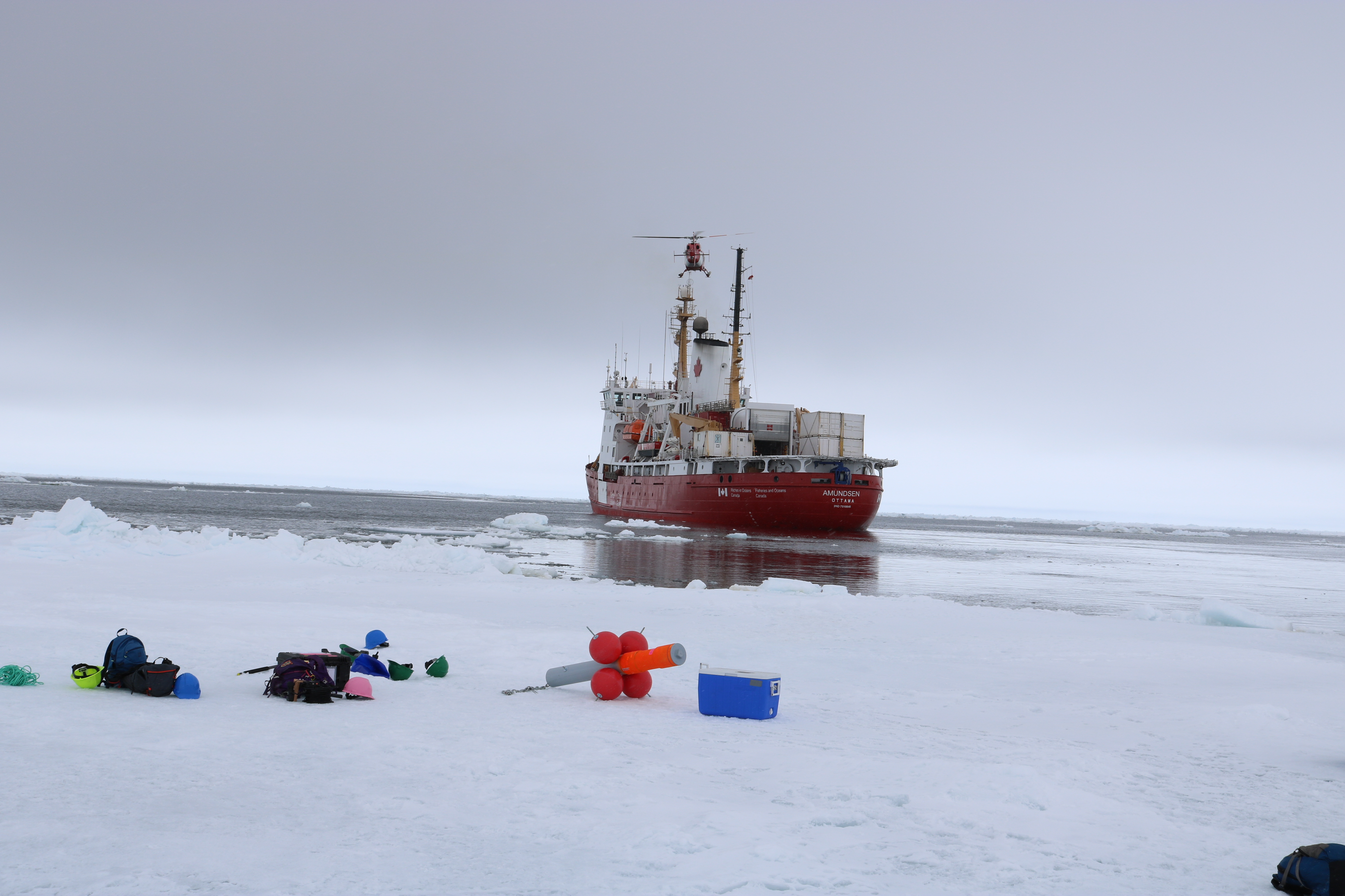 Arctic fieldwork photograph from Mohamed Ahmed research archive.